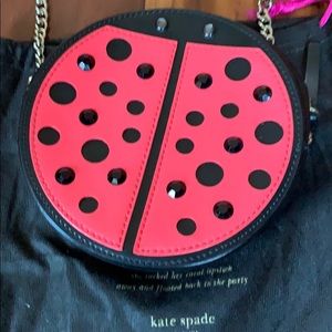 Kate Spade purse-nwot- never carries, in dust bag